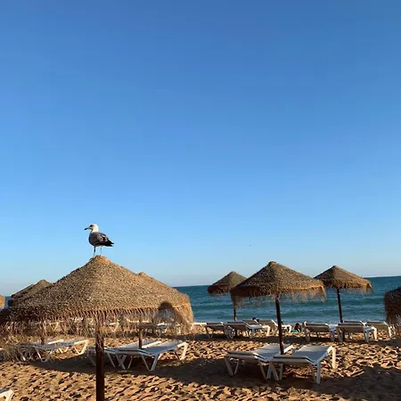 Апартаменты Olimar Sea View